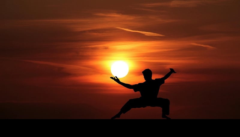 Tai Chi silhouette